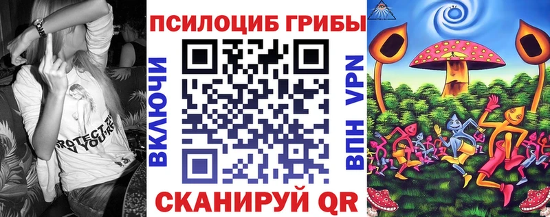 Галлюциногенные грибы Magic Shrooms маркетплейс какой сайт Междуреченск