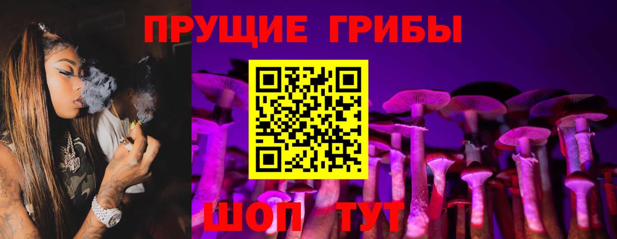 Галлюциногенные грибы мухоморы Междуреченск